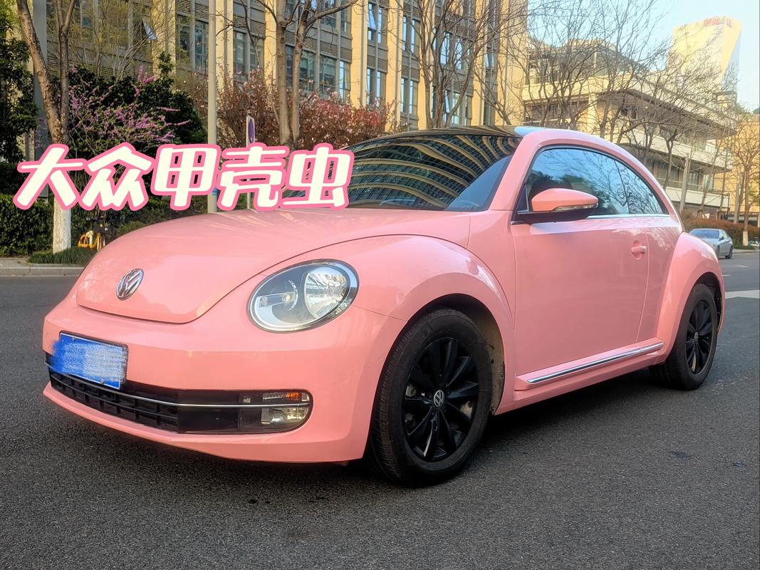 甲壳虫新能源车上市／甲壳虫汽车上市时间