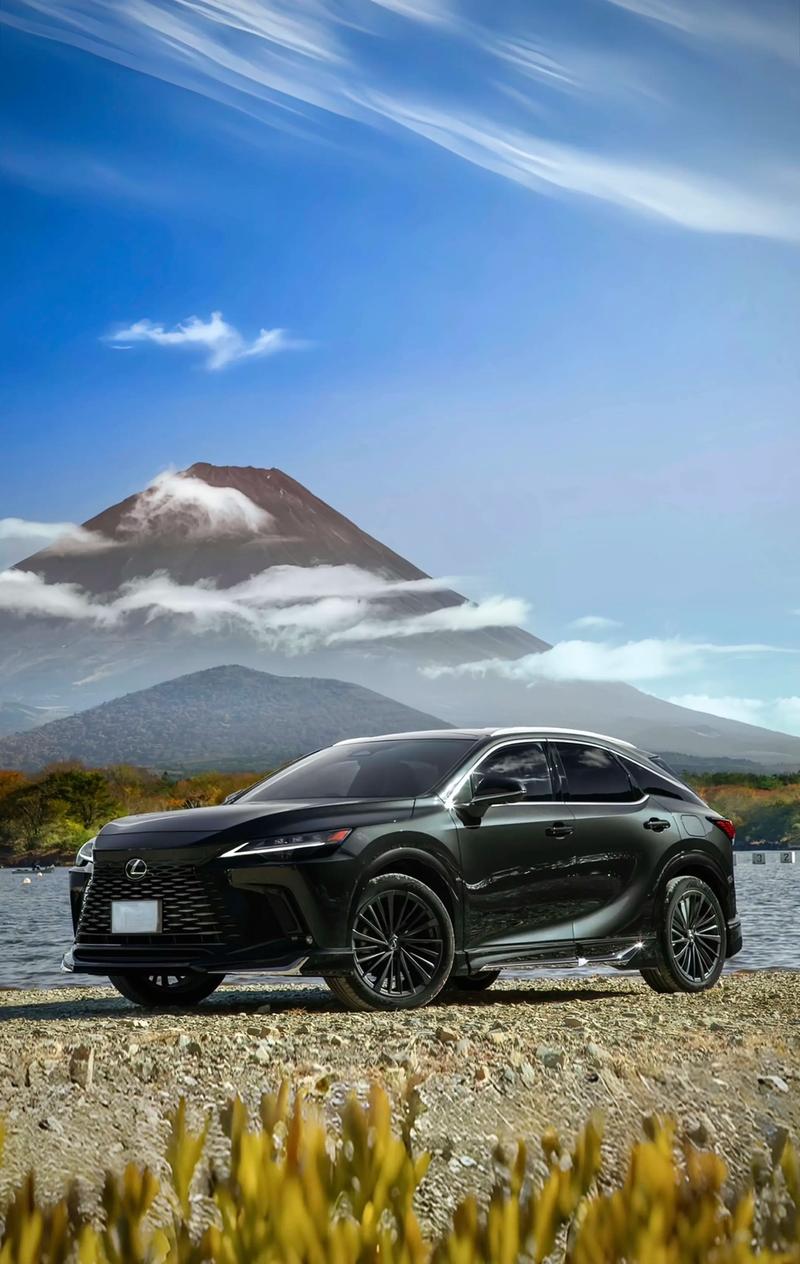 雷克萨斯rx250报价,雷克萨斯rx 200报价