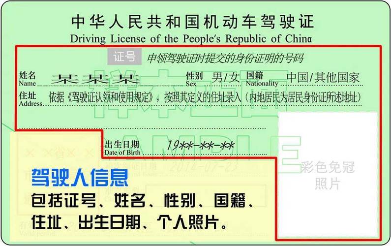 查个人驾驶证信息查询,查个人驾驶证信息查询怎么查