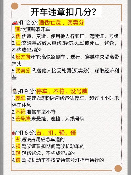 全国交通违章查询/全国交通违章查询准确吗
