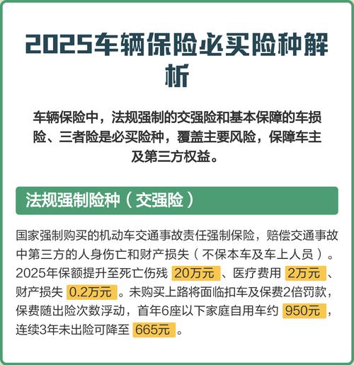 机动车保险必须买的险种 机动车必须上的保险