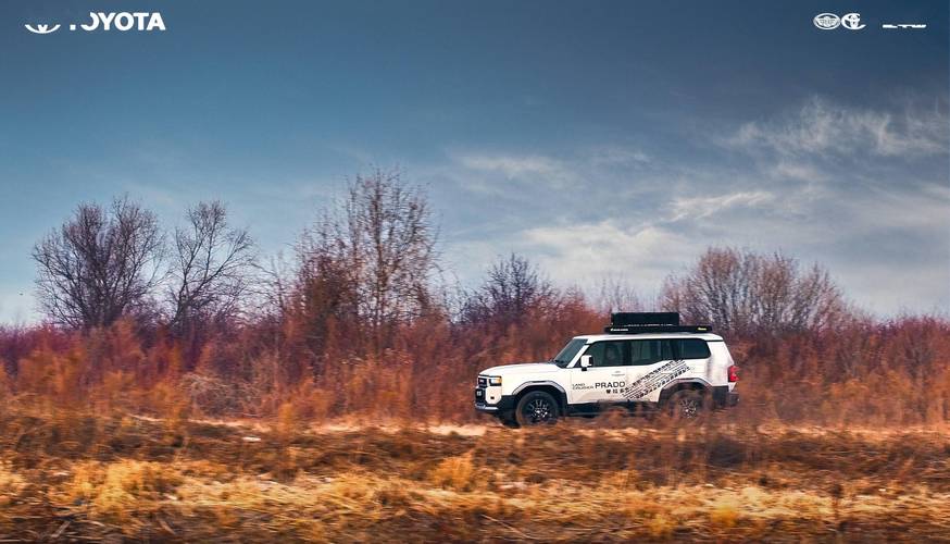 新款普拉多图片 新款普拉多图片壁纸