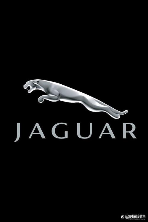 捷豹是哪国的品牌(捷豹属于哪个国家的品牌)