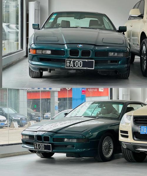 南京宝马案多大的背景,南京宝马案最终结果