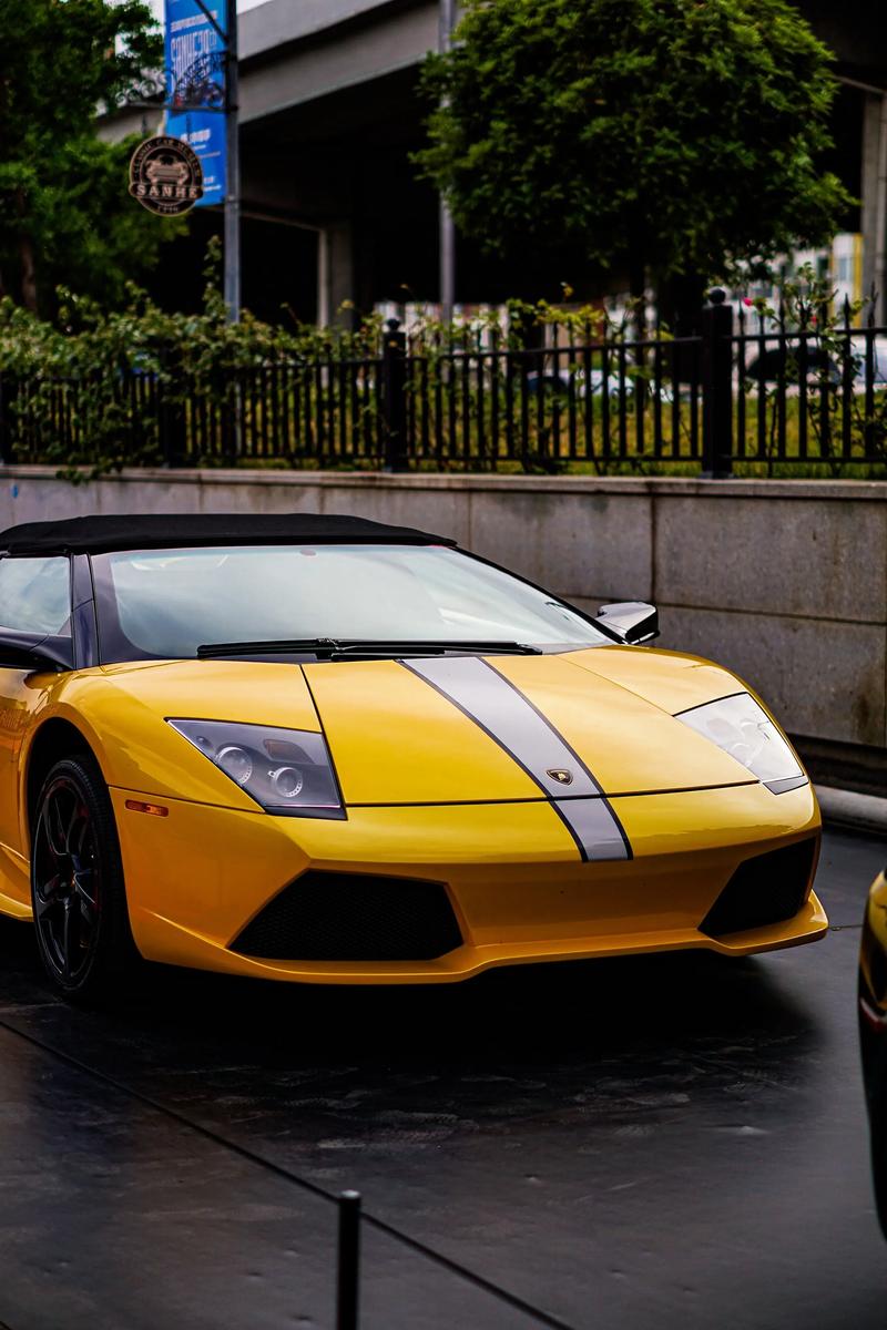 murcielago murcielago蝙蝠无和谐