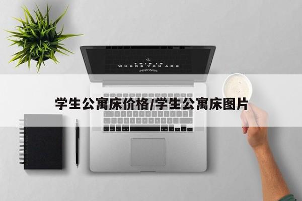 学生公寓床价格/学生公寓床图片