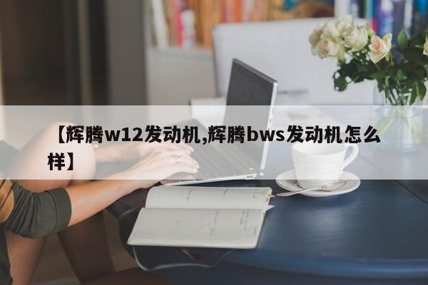 【辉腾w12发动机,辉腾bws发动机怎么样】